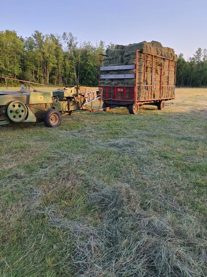Baler and hay wagon at work