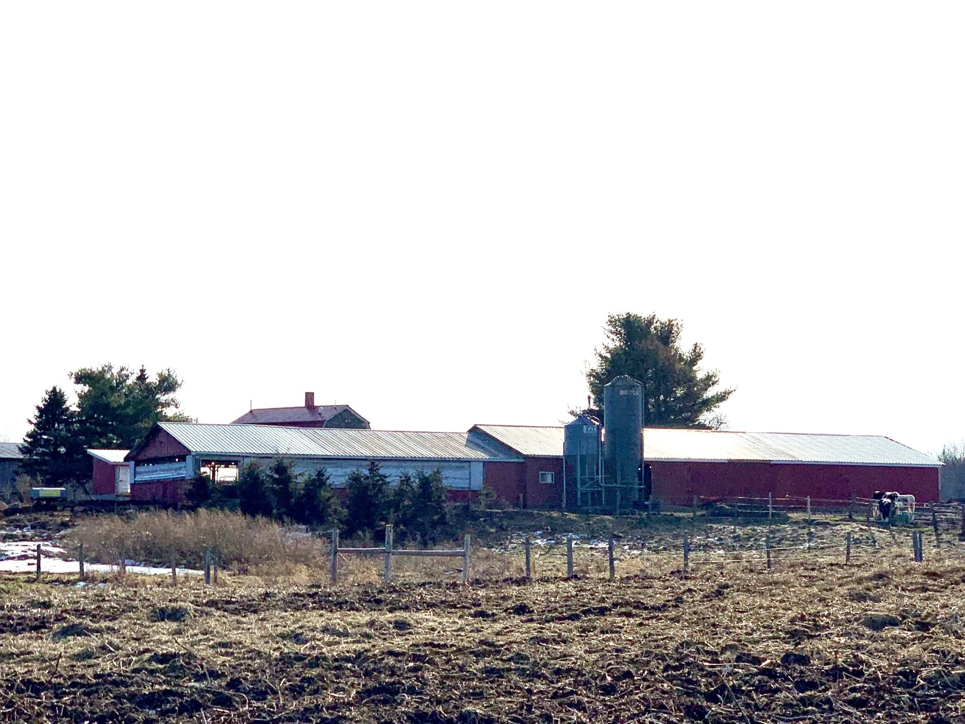 Ortman Farms buildings and silo
