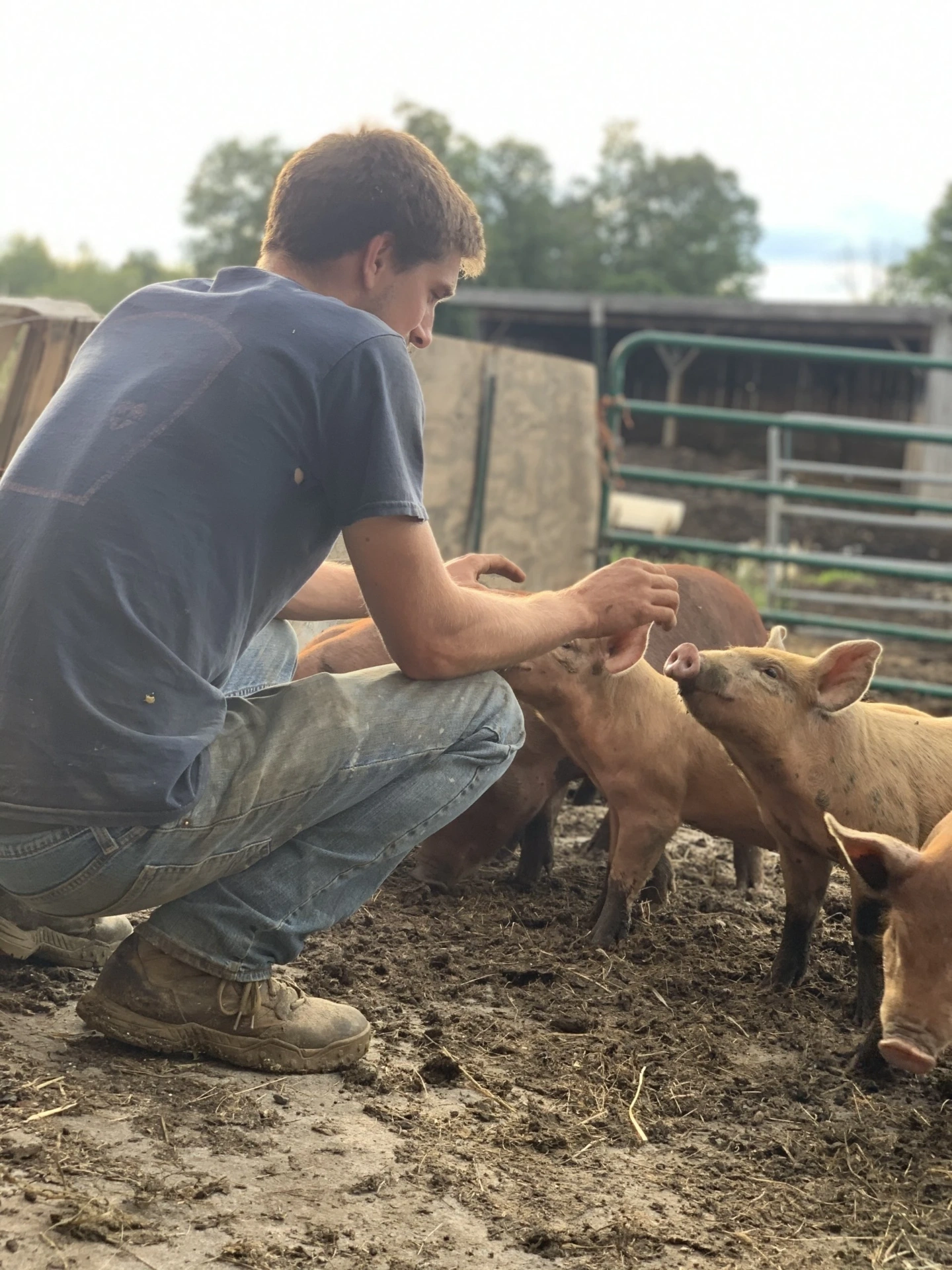 Michael with the piglets