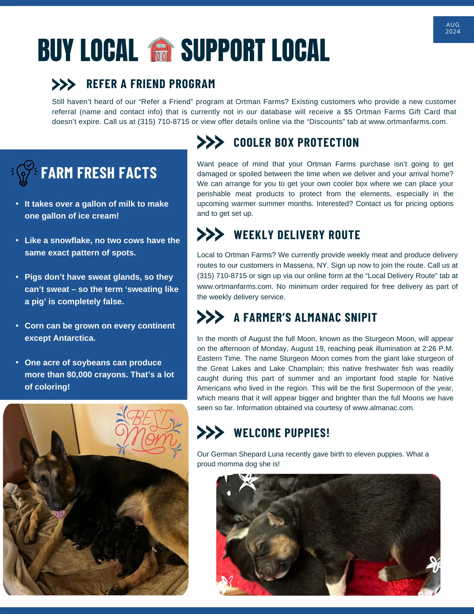 August 2024 Newsletter - Page 2