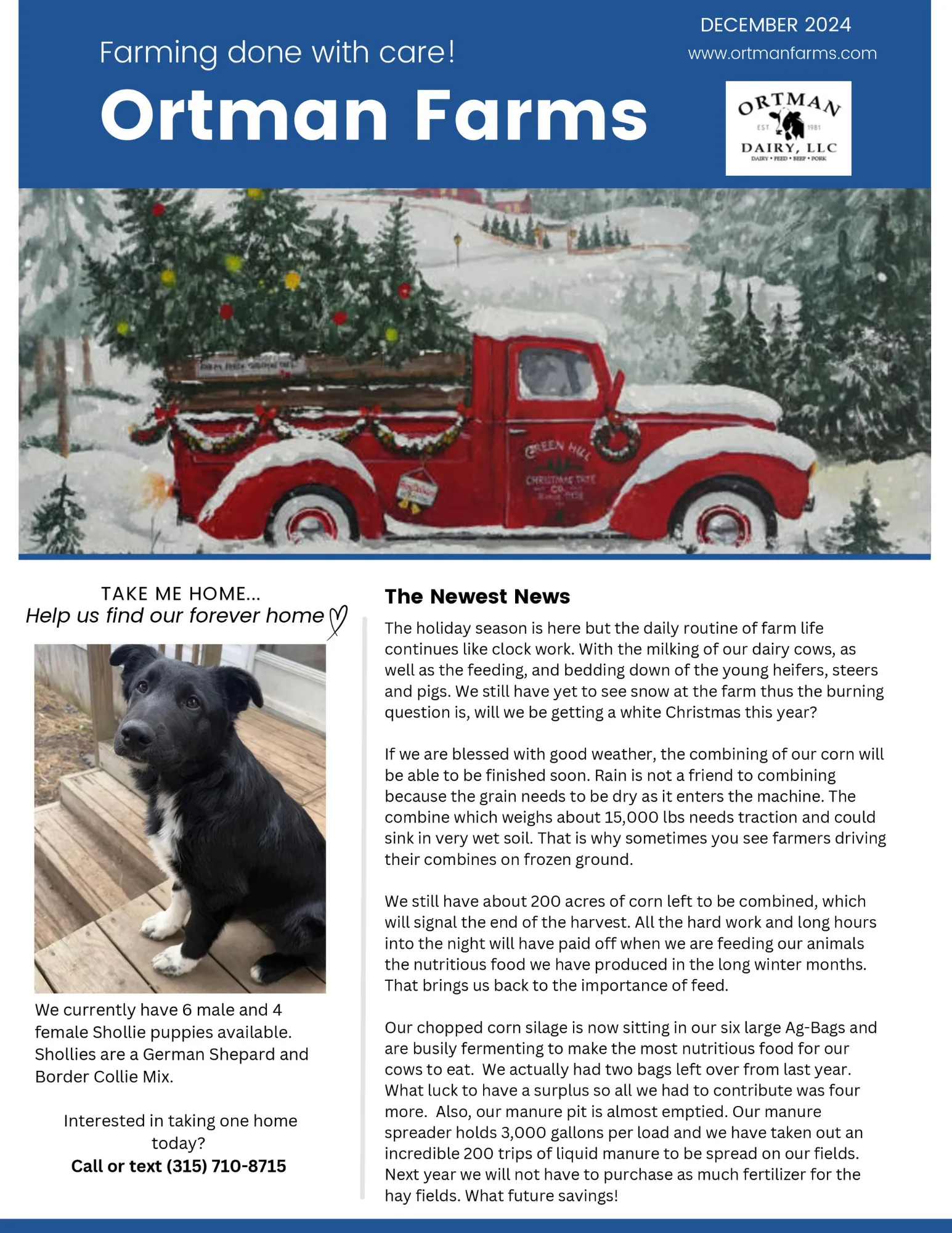 December 2024 Newsletter - Page 1