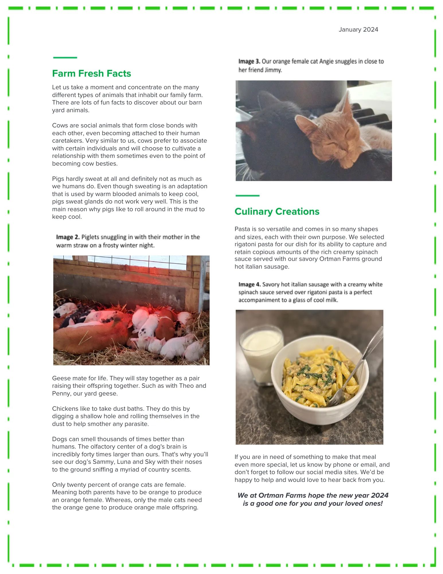 January 2024 Newsletter - Page 2