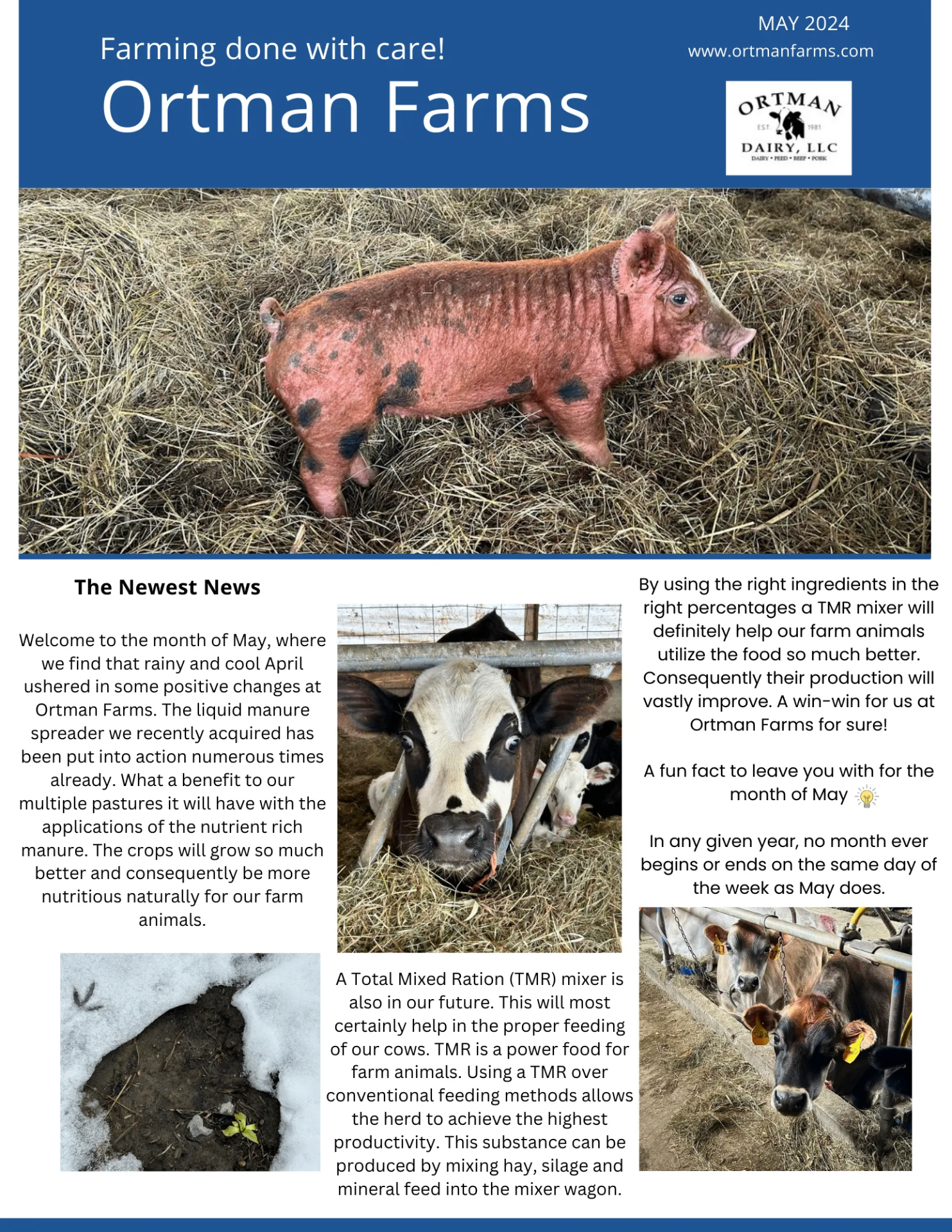 May 2024 Newsletter - Page 1