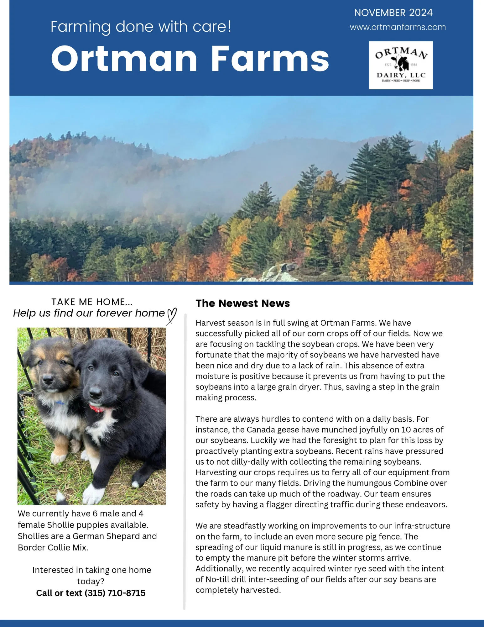 November 2024 Newsletter - Page 1