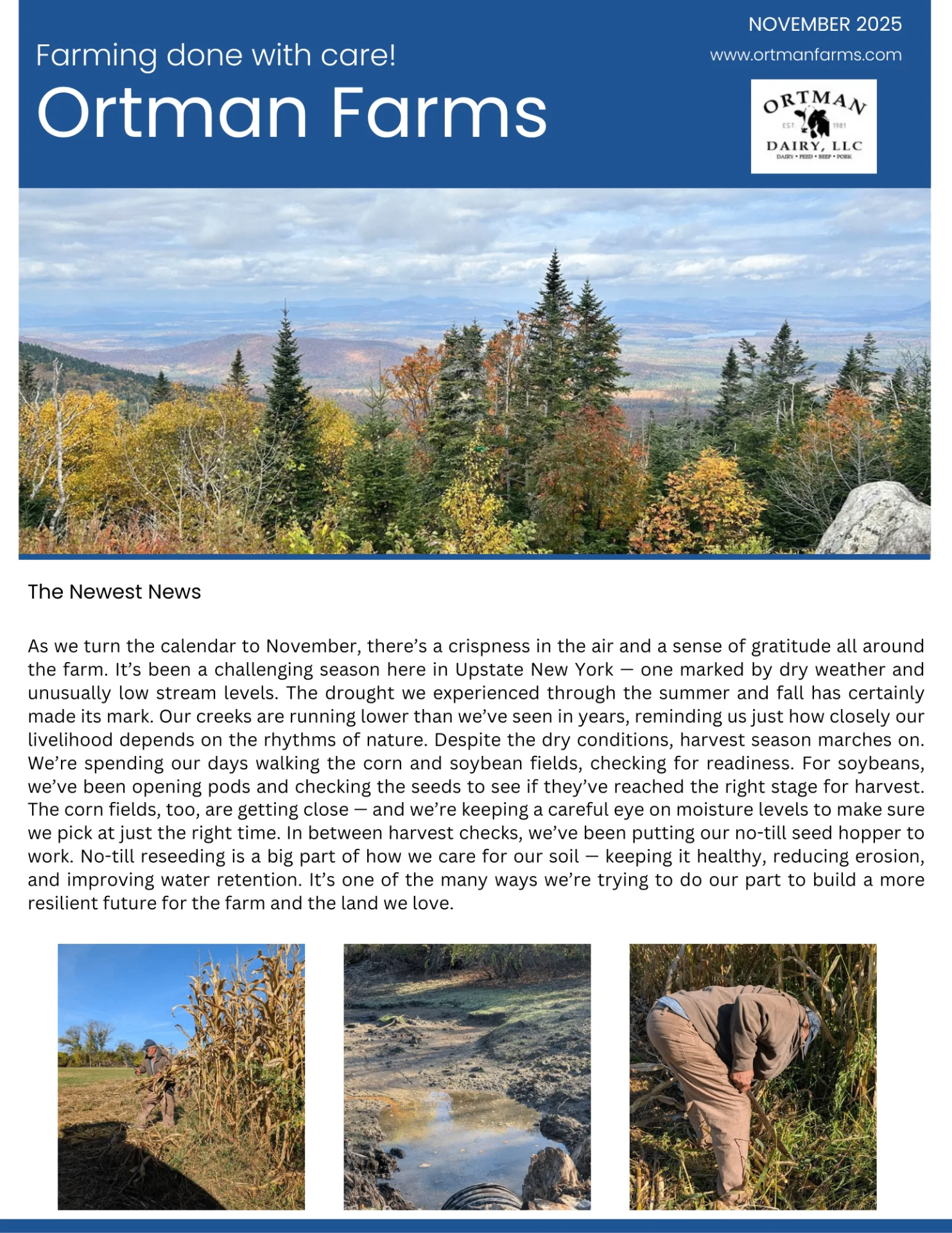 November 2025 Newsletter - Page 1