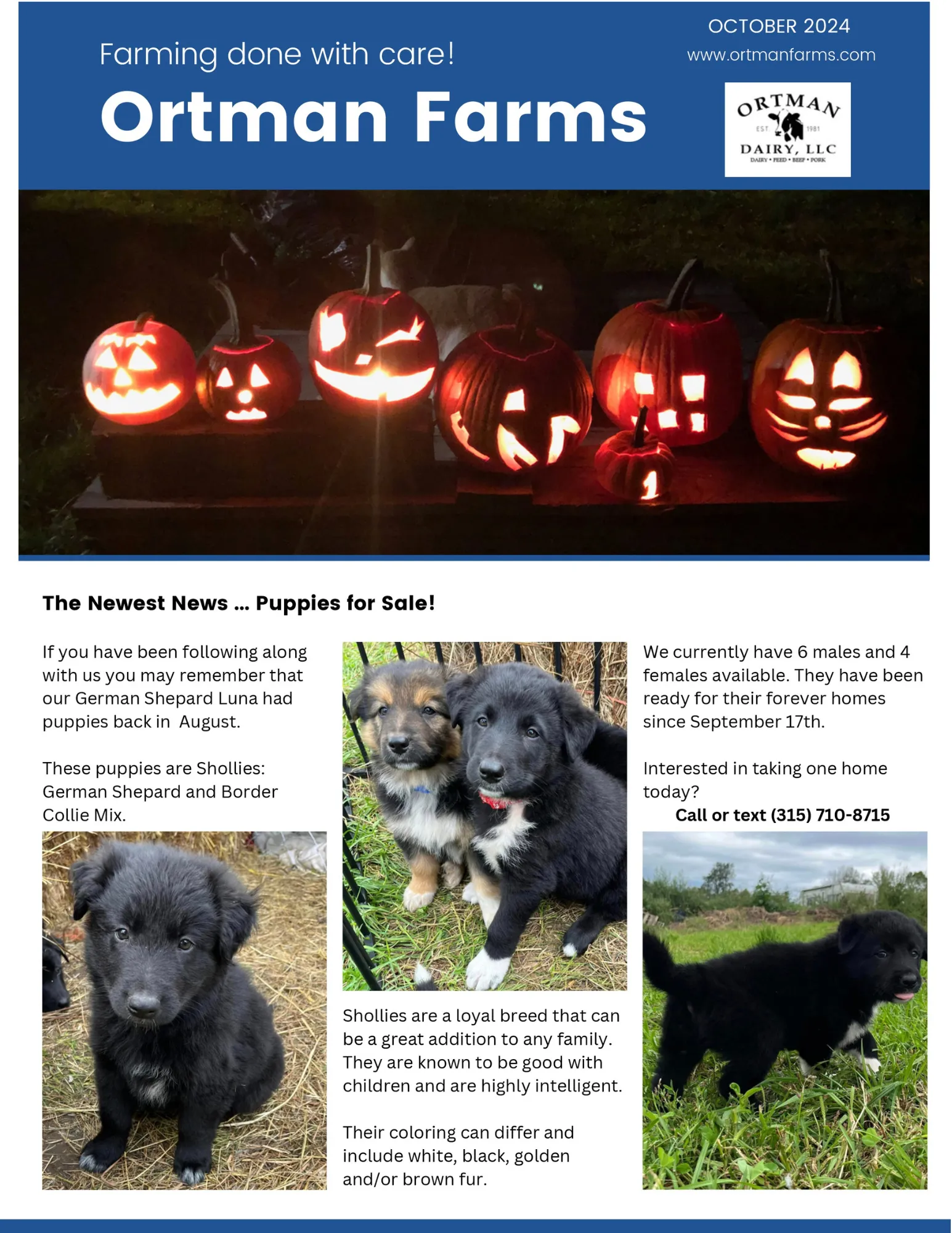 October 2024 Newsletter - Page 1