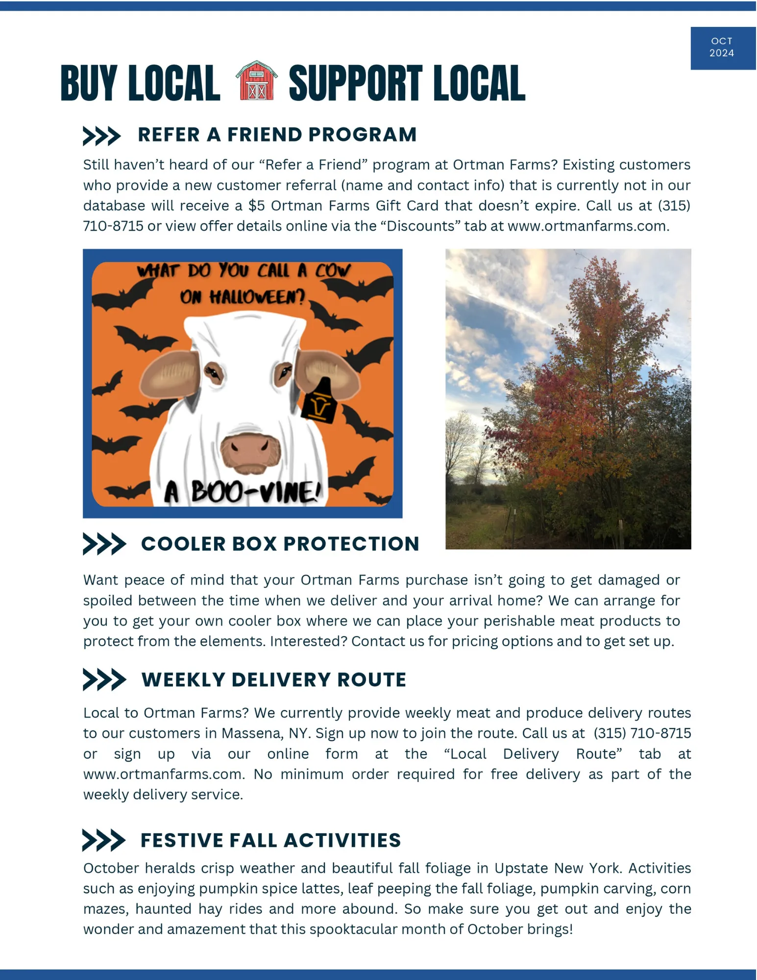 October 2024 Newsletter - Page 3
